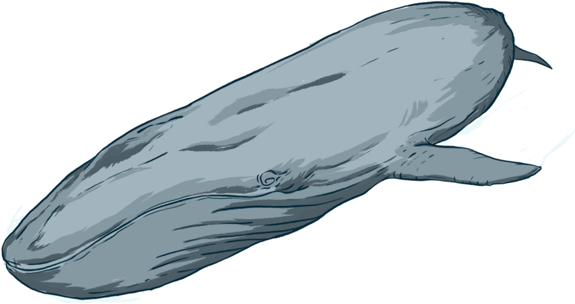 By Donating To Oceanswell, You Are Helping Us Do What Clipart (1196x653), Png Download