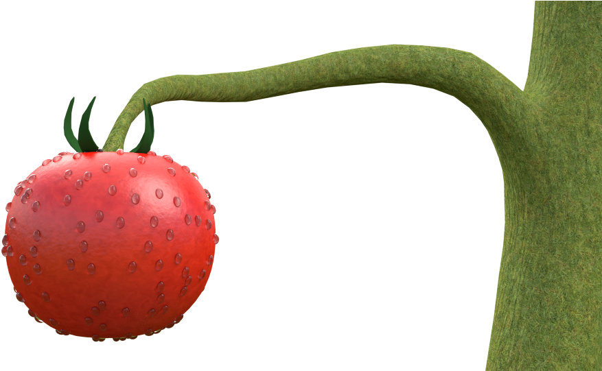 Tomato Plant Wip Clipart (960x540), Png Download