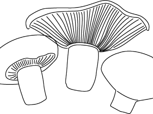 Mushroom Clipart Cooking - Png Download (640x480), Png Download