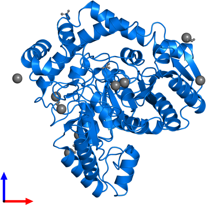 <div Class='caption-body'>pdb Entry 5ac3 Contains 1 Clipart (800x800), Png Download