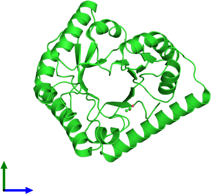 Pdb 3cpg Coloured By Chain And Viewed From The Front Clipart (800x800), Png Download