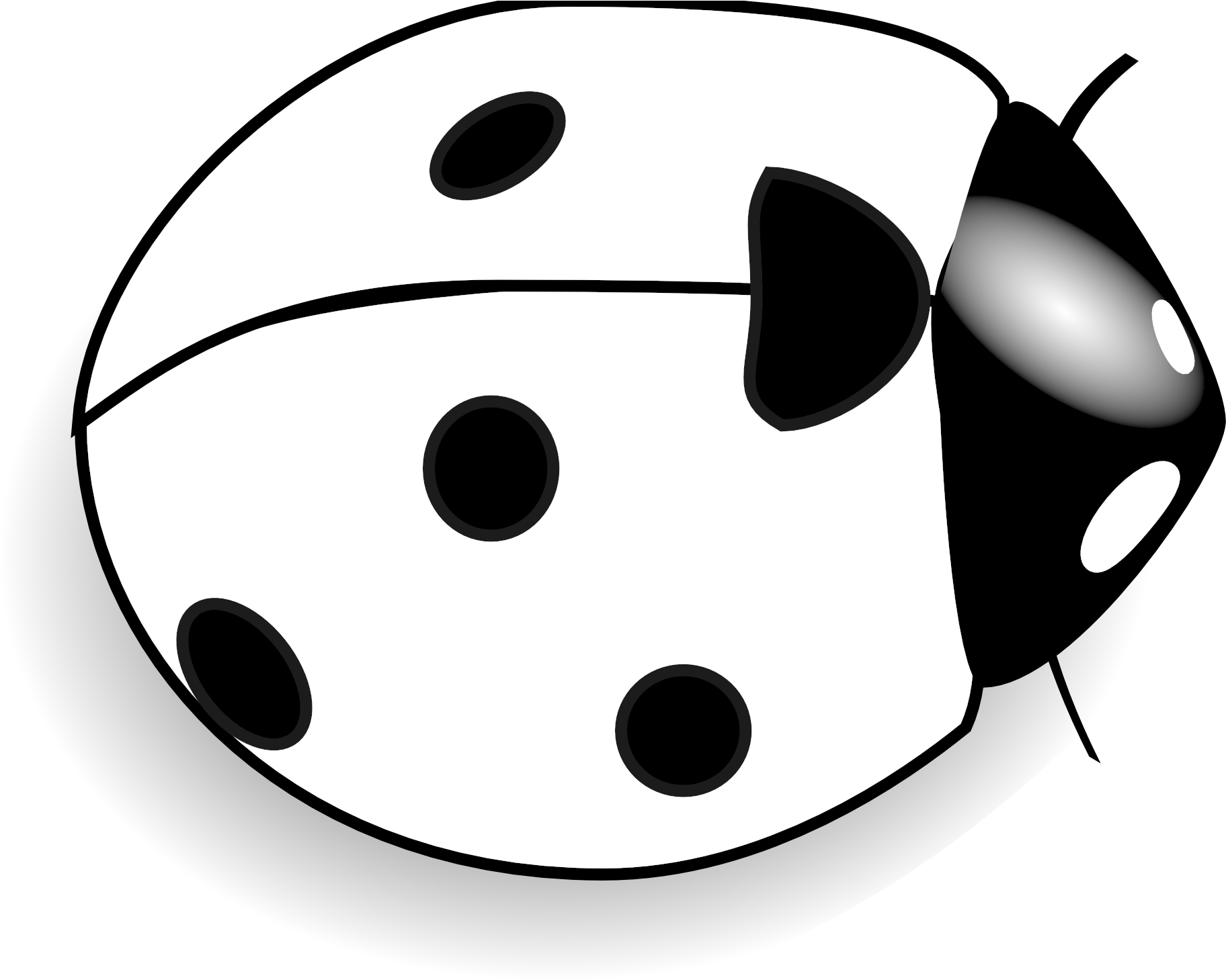 Clipart Of Bugs, Bug And Micro - Png Download (1969x1485), Png Download