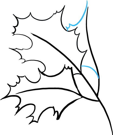 How To Draw Fall Oak Clipart (680x678), Png Download
