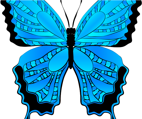 Silk Moth Clipart Blue - Png Download (640x480), Png Download