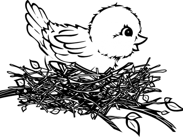 Nest Clipart Sparrow Nest - Png Download (640x480), Png Download
