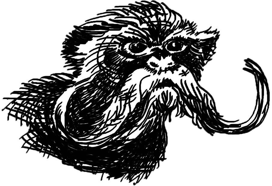 Save To Collection Clipart (904x620), Png Download