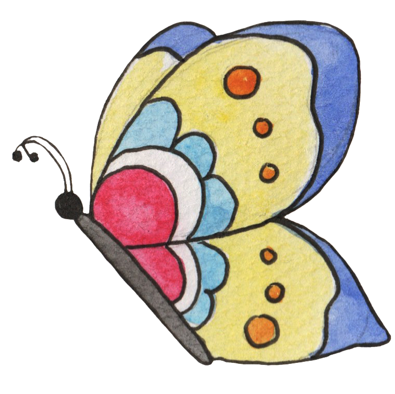 Colorful Butterfly Transparent Decorative Clipart (1024x836), Png Download