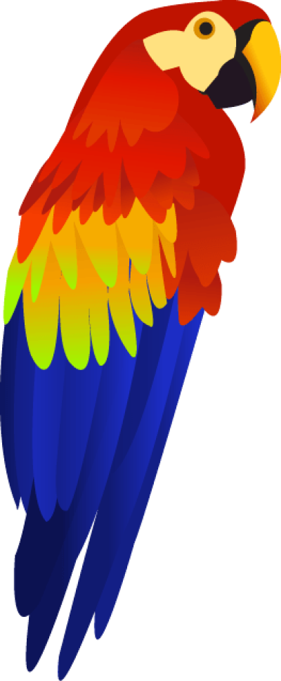 Colorful Parrot Png Images Download Clipart (400x968), Png Download