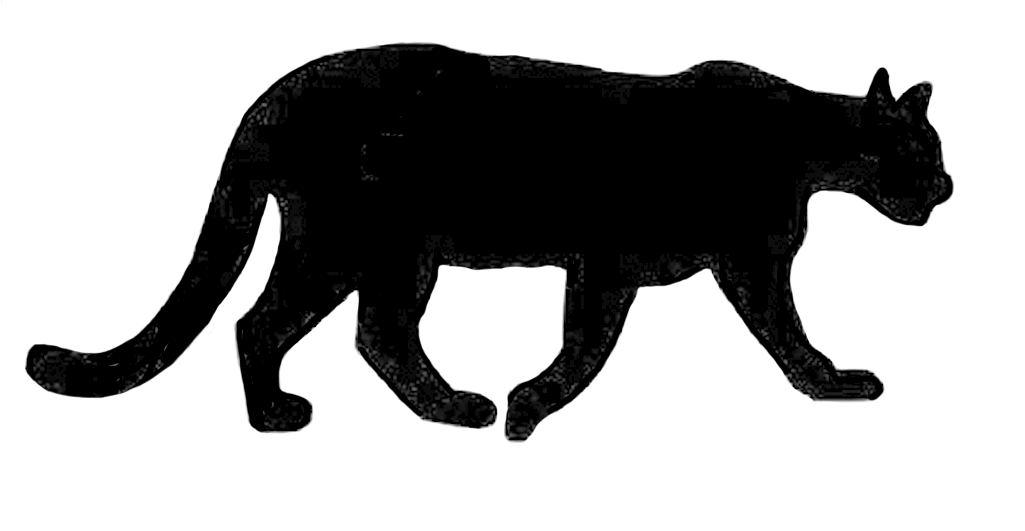 #aphrodite #athena #cat #fullmoon #hephaestus #meow Clipart (1024x573), Png Download