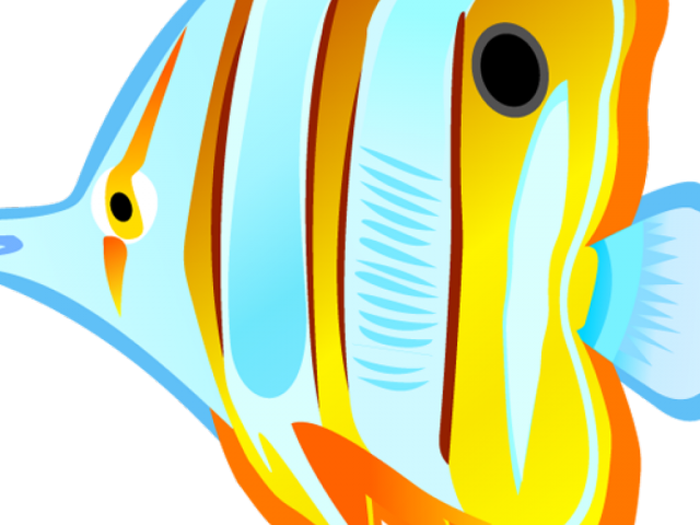Ocean Clipart Fish - Png Download (640x480), Png Download