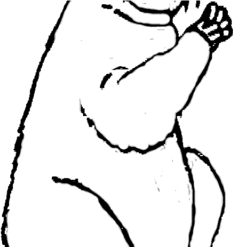 Groundhog Clipart Black And White - Png Download (640x480), Png Download