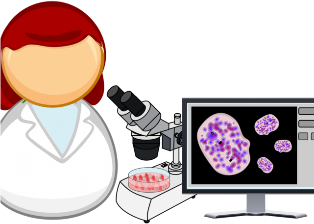 Microscope Clipart Marine Biologist - Png Download (640x480), Png Download