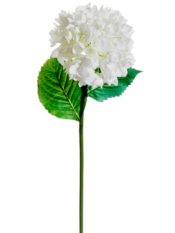 Inch Spray White Clipart (800x800), Png Download