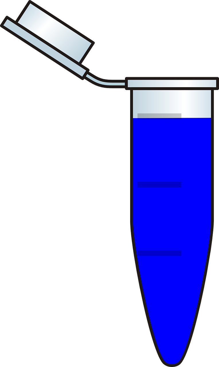 Vector Graphics, Clipart (764x1280), Png Download