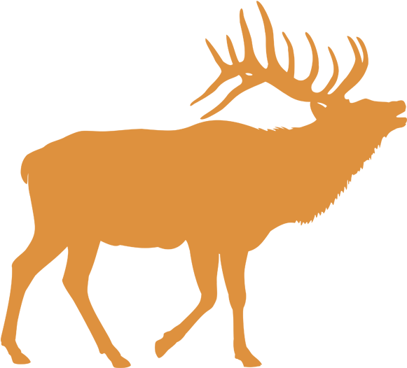 Elk Clipart Mule Deer - Png Download (600x600), Png Download