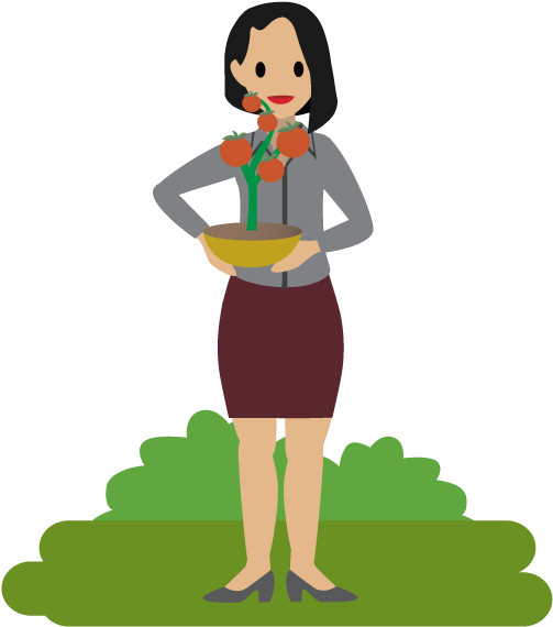 A Person Holding A Tomato Plant Clipart (972x756), Png Download