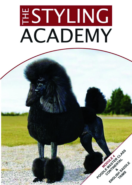 Continental Poodle Cut Clipart (600x600), Png Download