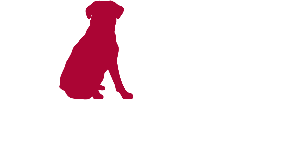 Bark In The Park White Clipart (1172x600), Png Download