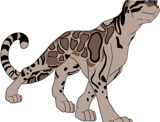 Clouded Leopard Clipart Grey - Png Download (640x480), Png Download