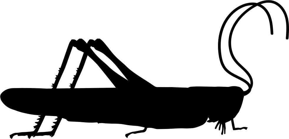 Grasshopper Clipart Svg - Png Download (981x472), Png Download