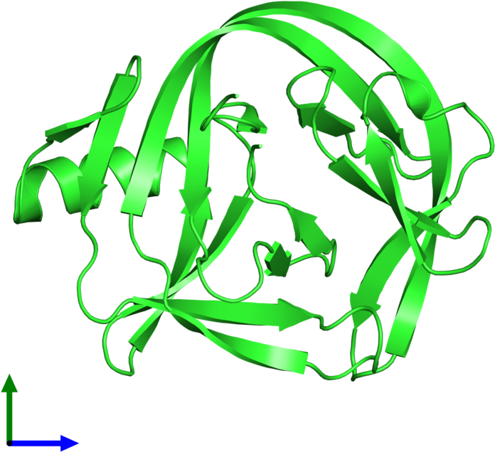 Pdb 4e2u Coloured By Chain And Viewed From The Front Clipart (800x800), Png Download