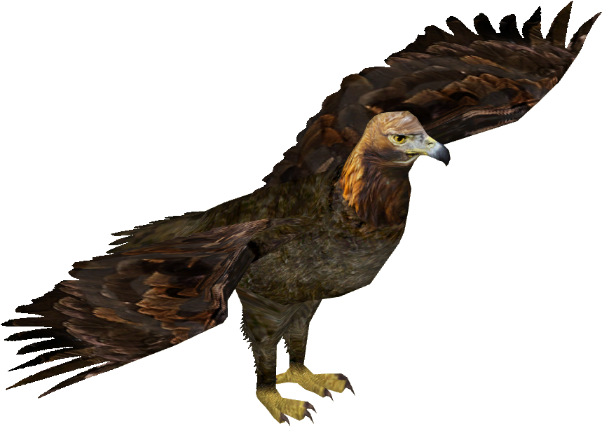 Golden Eagle Bahia Zt Clipart (858x858), Png Download