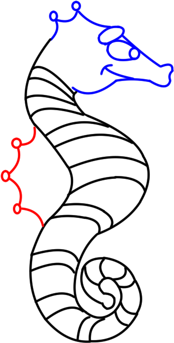 Drawing Seahorse Eyes Clipart (693x727), Png Download