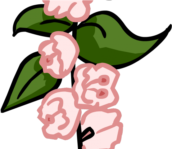 Flowerpots Clipart Row Flower - Png Download (640x480), Png Download