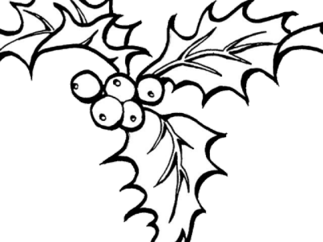 Drawn Ivy Holly And Ivy Clipart (640x480), Png Download