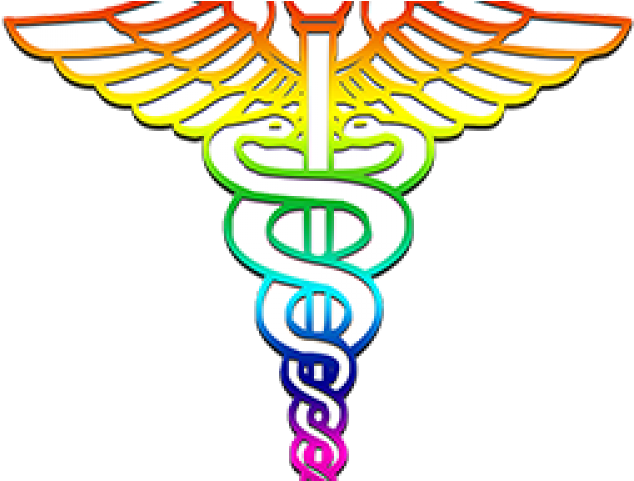 Doctor Symbol Clipart Medical Field - Png Download (640x480), Png Download