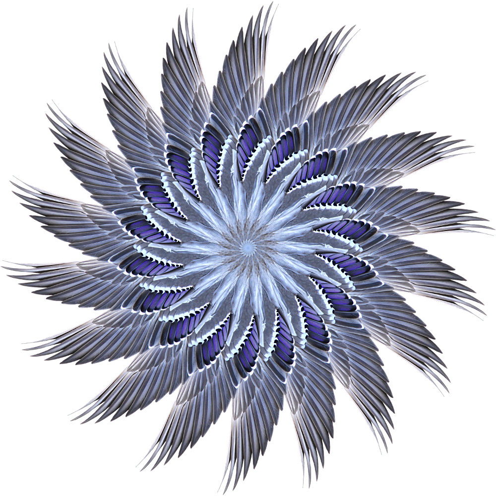 Clown Fish Cafe How Clipart (1000x1000), Png Download