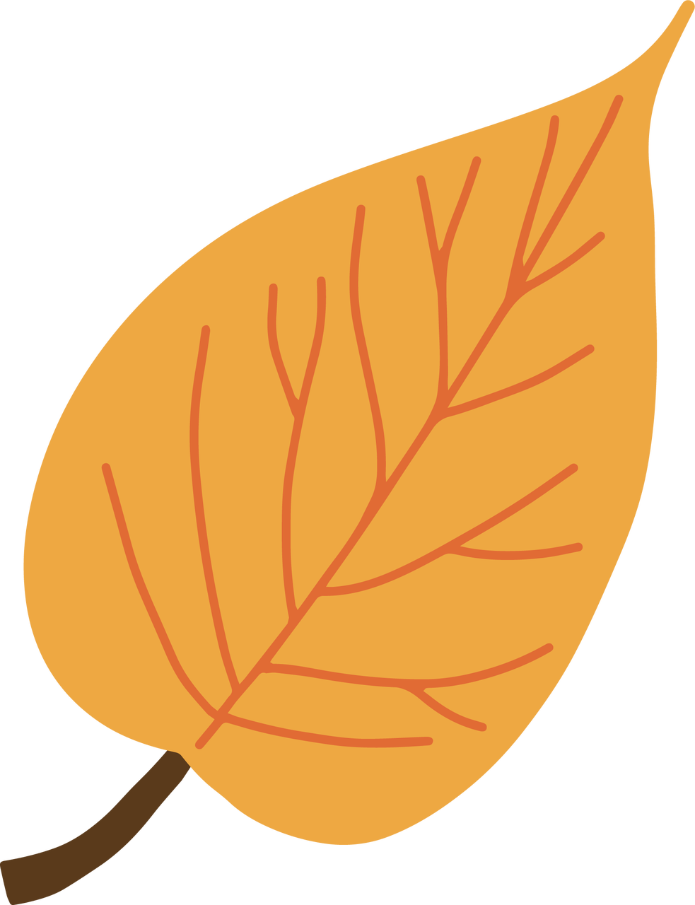 Categories Clipart (983x1280), Png Download
