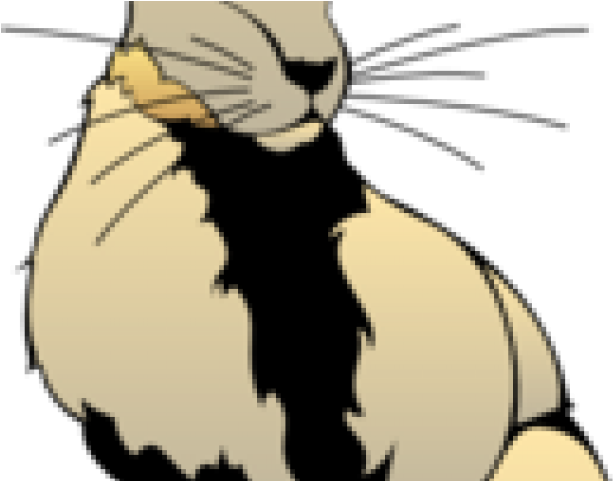 Jack Rabbit Clipart Hare - Png Download (640x480), Png Download