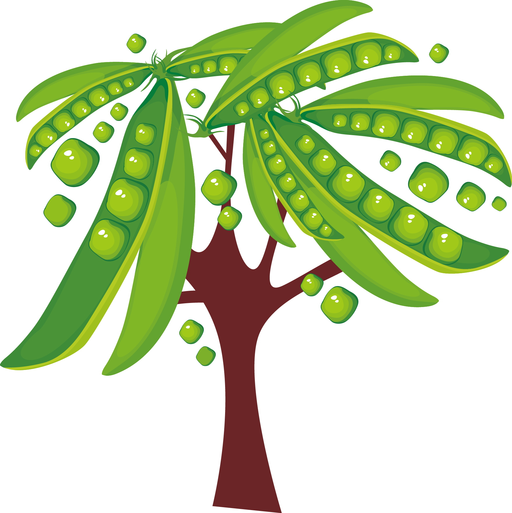 Soybean Plant Clipart - Png Download - Full Size Clipart (#3048720