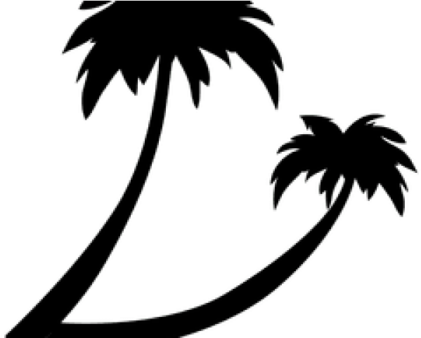 Palm Tree Clipart Palmera - Png Download (640x480), Png Download