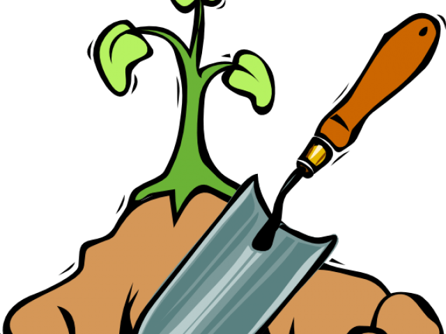 Seed Clipart Seedling - Png Download (640x480), Png Download