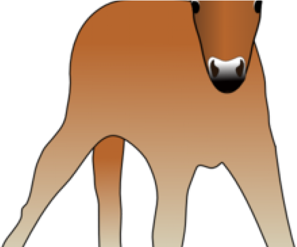 Foal Clipart Pretty Horse - Png Download (640x480), Png Download