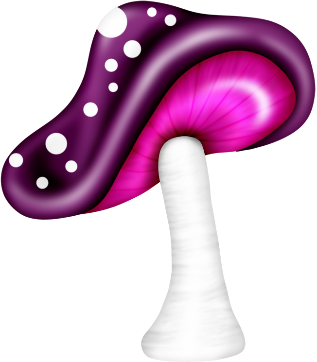 Shrooms ‿✿⁀°••○ Mushroom Clipart (800x800), Png Download