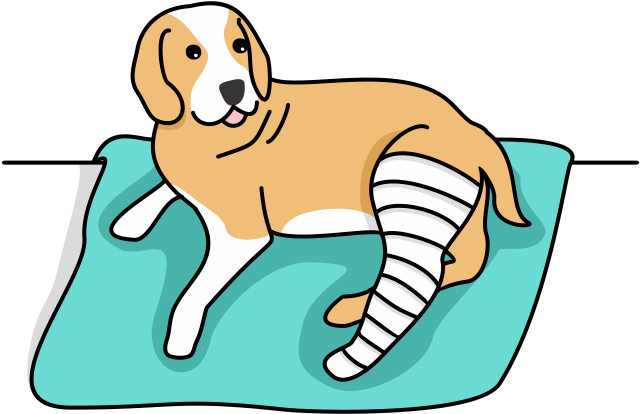 Dog Hospitalization Icon Clipart (737x491), Png Download