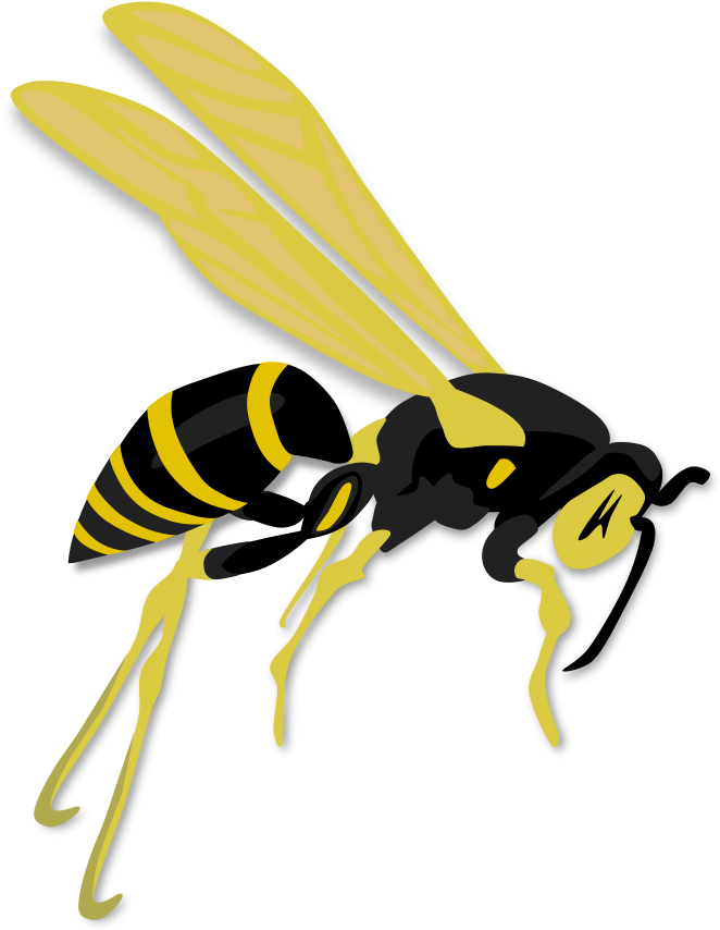 This Free Clip Arts Design Of Flying Wasp - Png Download (704x900), Png Download