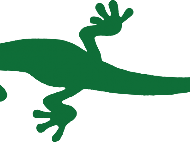 Newt Clipart Green - Png Download (640x480), Png Download