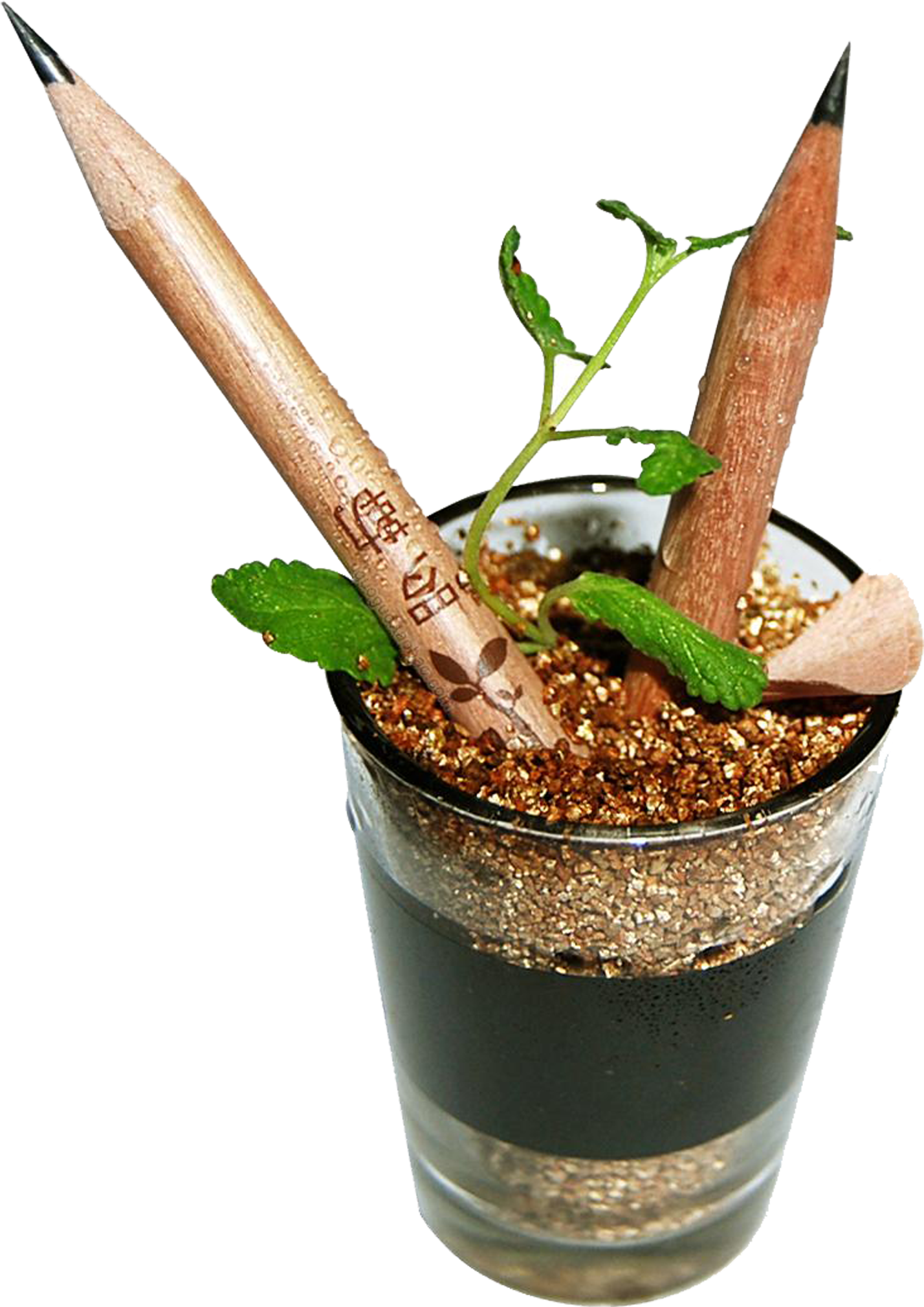 Drawn Pot Plant Plant Seed Clipart (2953x2953), Png Download
