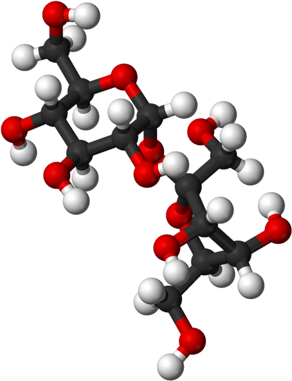From Wikipedia, The Free Encyclopedia Clipart (640x812), Png Download