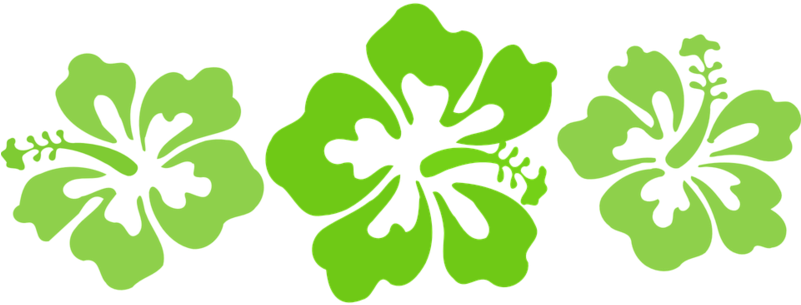 Hibiscus, Green, Hawaii, Desi Clipart (800x400), Png Download