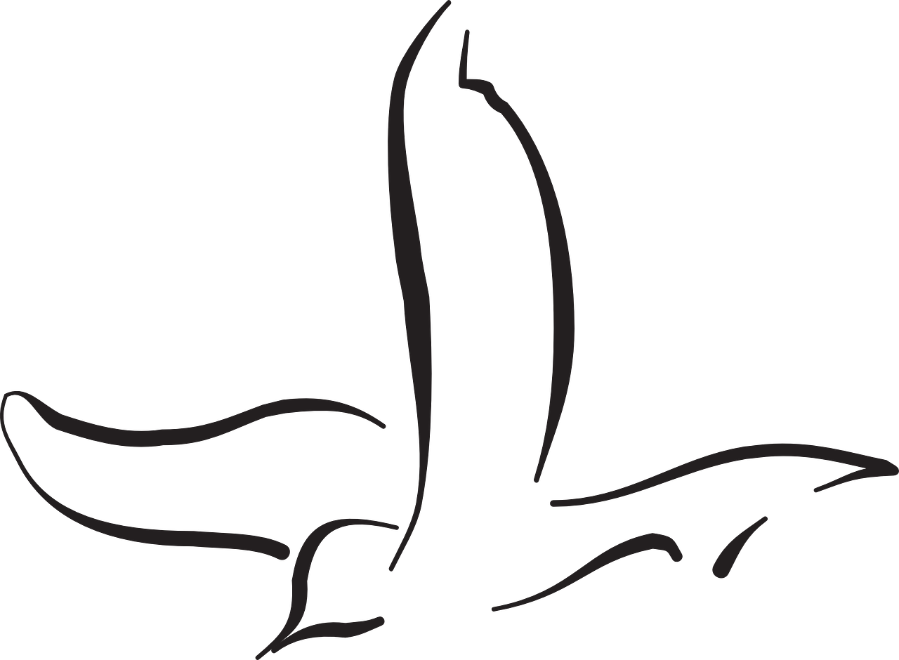 Vector Graphics, Clipart (1280x940), Png Download