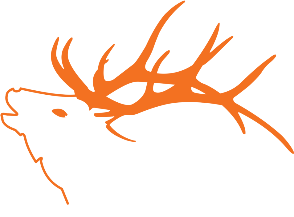 Button Label Clipart (1024x757), Png Download