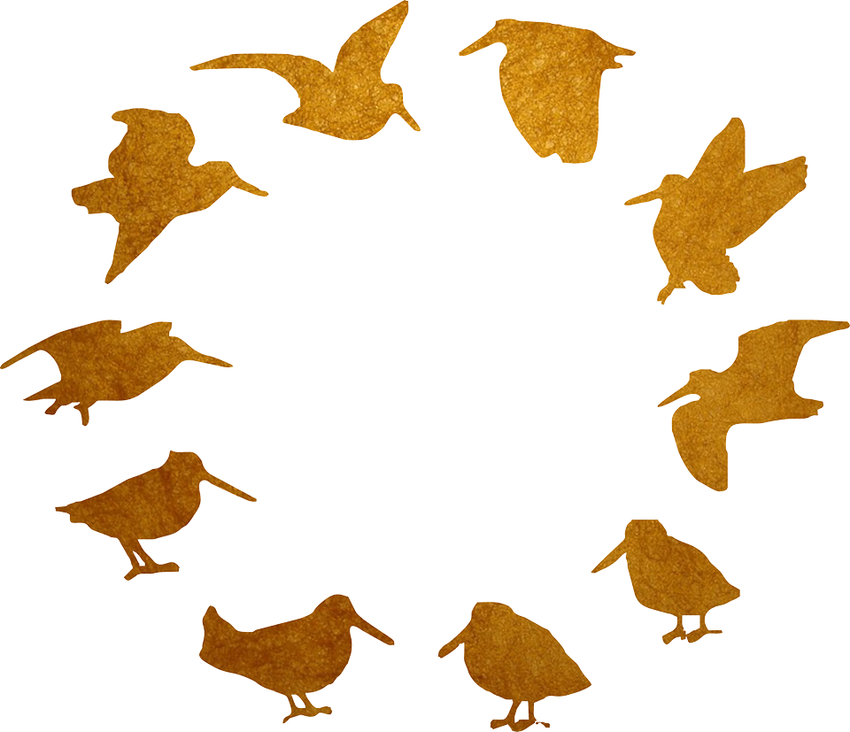 Outdoor Adventures Clipart (960x827), Png Download