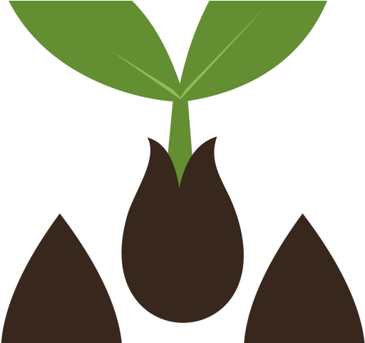 Seeds Clipart Tree Logo - Png Download (640x480), Png Download