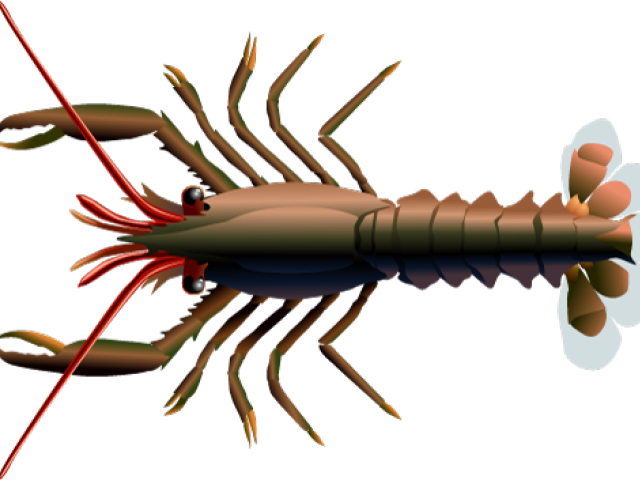 Lobster Clipart Mud Crab - Png Download (640x480), Png Download