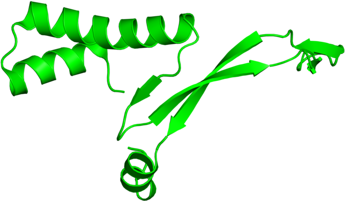<div Class='caption-body'>1 Copy Of Scop Domain < Clipart (800x800), Png Download